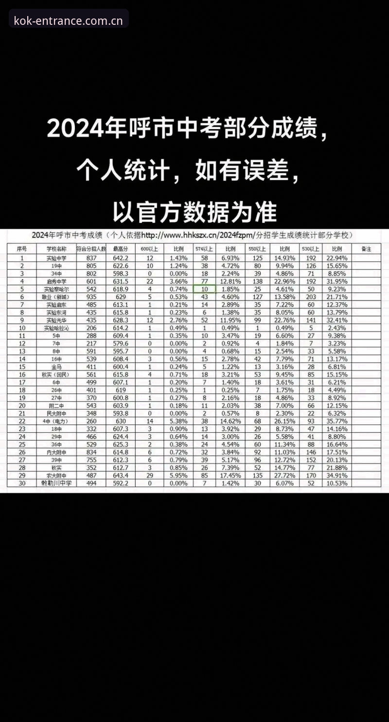 资深用户分享：KOK官方网站2024年下载与数据查询的实战经验